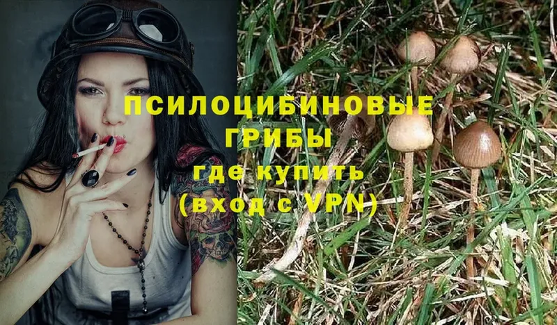 Псилоцибиновые грибы MAGIC MUSHROOMS  Голицыно 