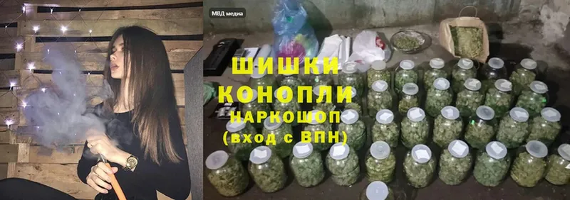 Бошки марихуана THC 21%  Голицыно 